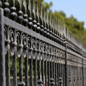 Wrought Iron Fence