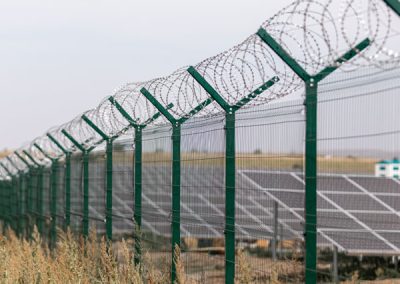 Barbed Fences
