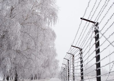 Barbed Fences