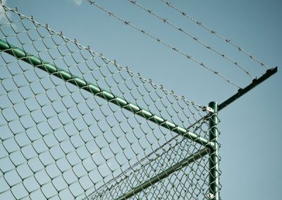 Barbed Fences