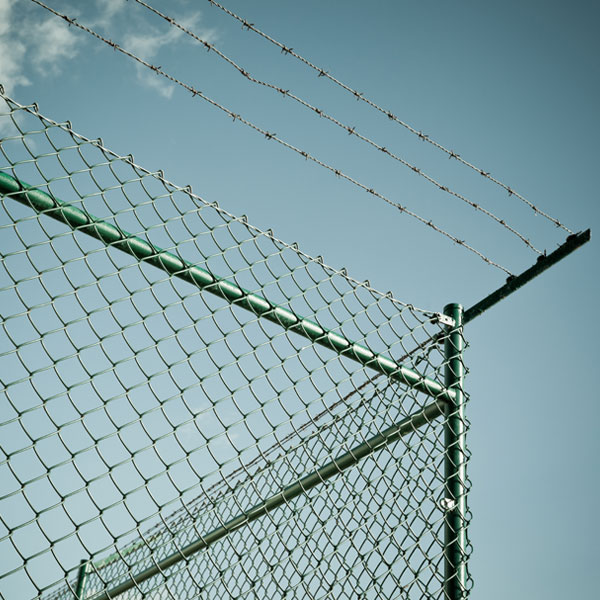 Barbed Fences